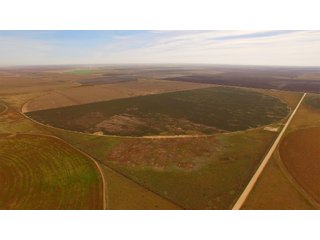 Property photo 7 - IRRIGATED FARMLAND AUCTION - 640+/- ACRES OFFERED IN 1 TRACT IN HARTLEY CO., TEXAS